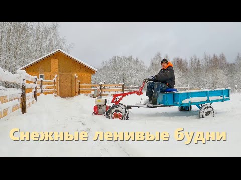 Snowy (with consequences), rural, lazy weekdays | Life in the village