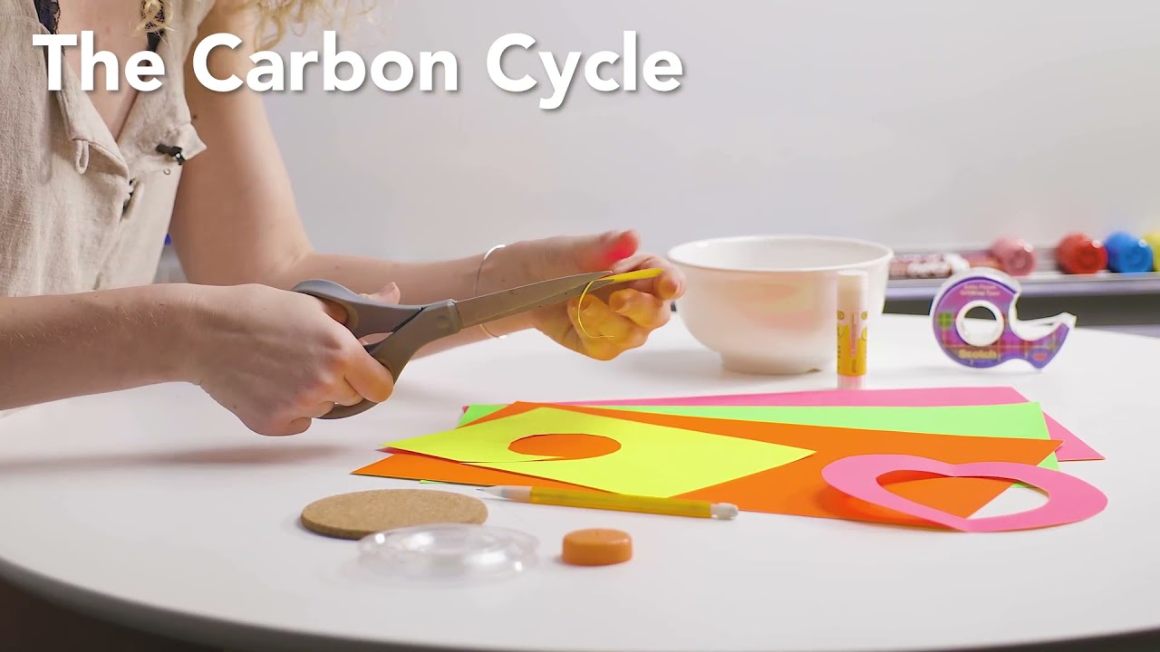 Gooroo Live Promo: Human Impacts with Ariella F. (Change Your Carbon Footprint!)