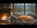 🌧️Gentle Rain Sounds Reduce Anxiety for Dogs🐶24/7 Healing Music for Dogs🎶Healing Fireplace Sounds