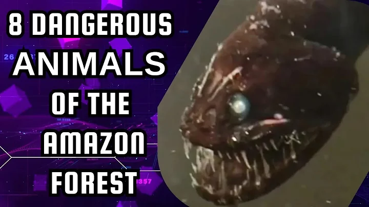 Dangerous Animals of the Amazon Forest: Surviving the Wild