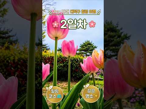 대전 대덕구 맛집 영상픽 - 고택의 여유와 자연의 소리, 그리고 맛있는 기록