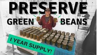 Canning a years worth of green beans!
