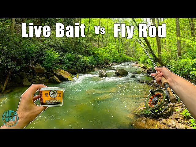 bait fishing with a fly rod Fly Fishing vs Live Bait: Which is Better? (The ultimate debate)