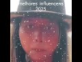 #melhores influencens 2025