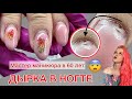 МАСТЕРУ 60 ЛЕТ | ИСПОРТИЛА НОГТИ | ДЫРКА В НОГТЕ #nails #алена_лаврентьева #ногти #маникюр