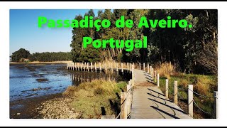 Passadiço de Aveiro , Portugal