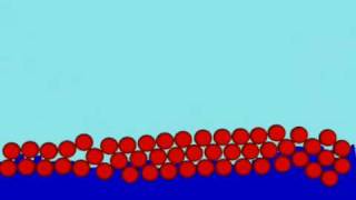 Numerical simulation of interaction between particles and free surface flow