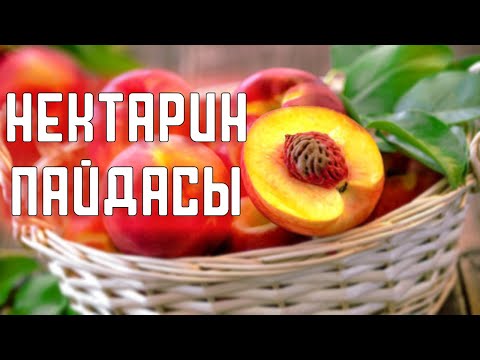 Бейне: Қан тапсыруға қалай дайындалу керек: 14 қадам (суреттермен)