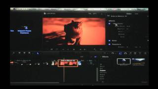 Andy Neil Motion 5 Rigs Part 2