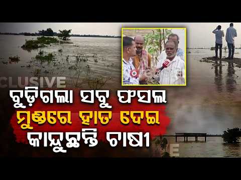 Nabarangpur Flood: Over 1000 Acres Of Crop Land Submerged In Kosagumuda | Argus News
