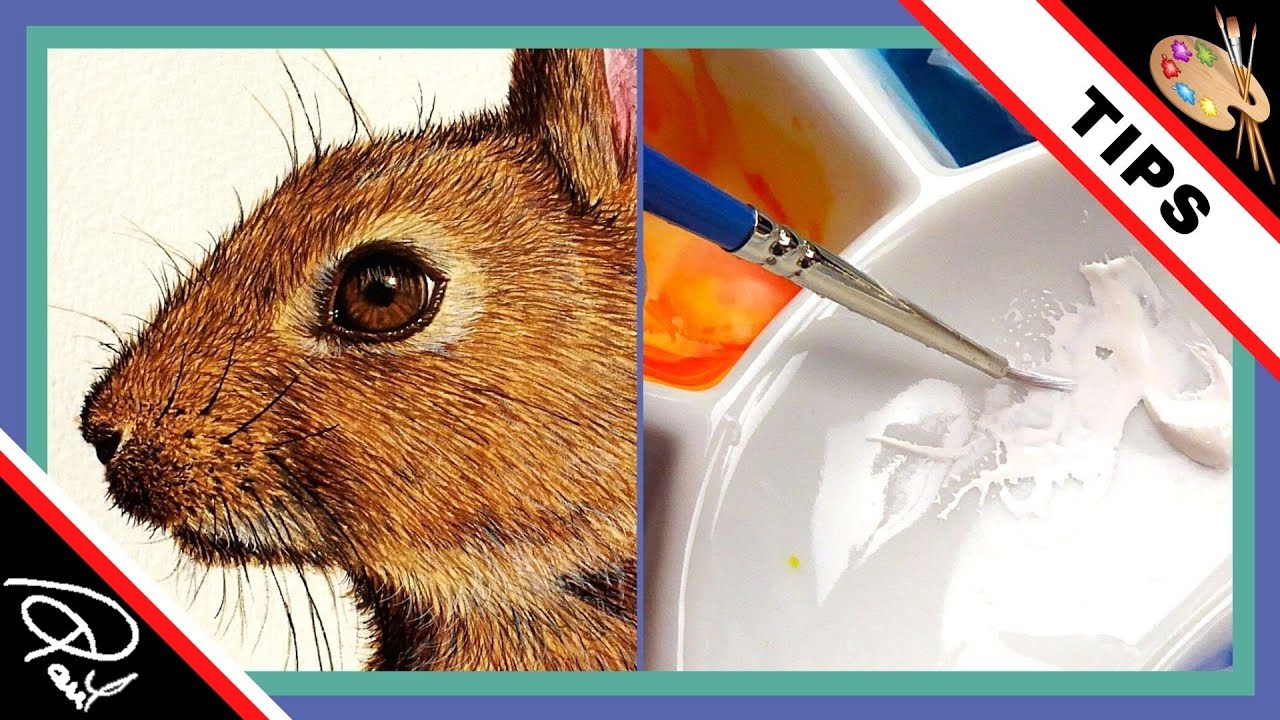 Using White Watercolor Painting Tips (for Beginners) YouTube