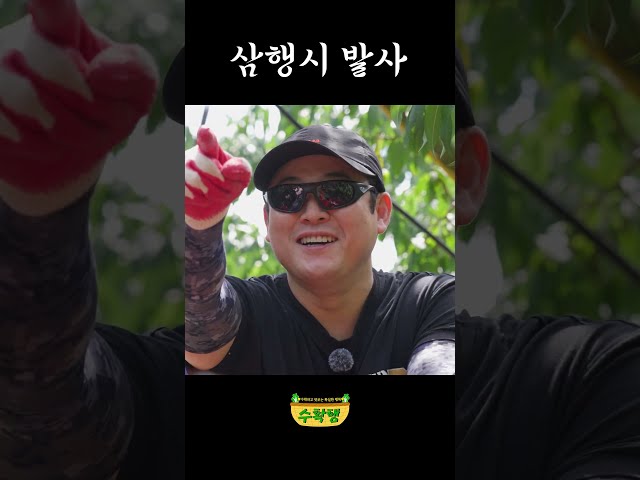 삼행시 발사