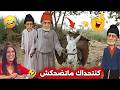 20 دقيقة من الضحك وكانتحداك ما تضحكش أقوى نكت وفكاهة مغربية لي غتفركعك بالضحك 