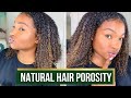 Products for High Porosity Natural Hair