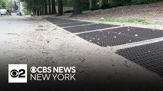 Largest outdoor art exhibit in Harlem's history uncovers pattern of groundcover erosion