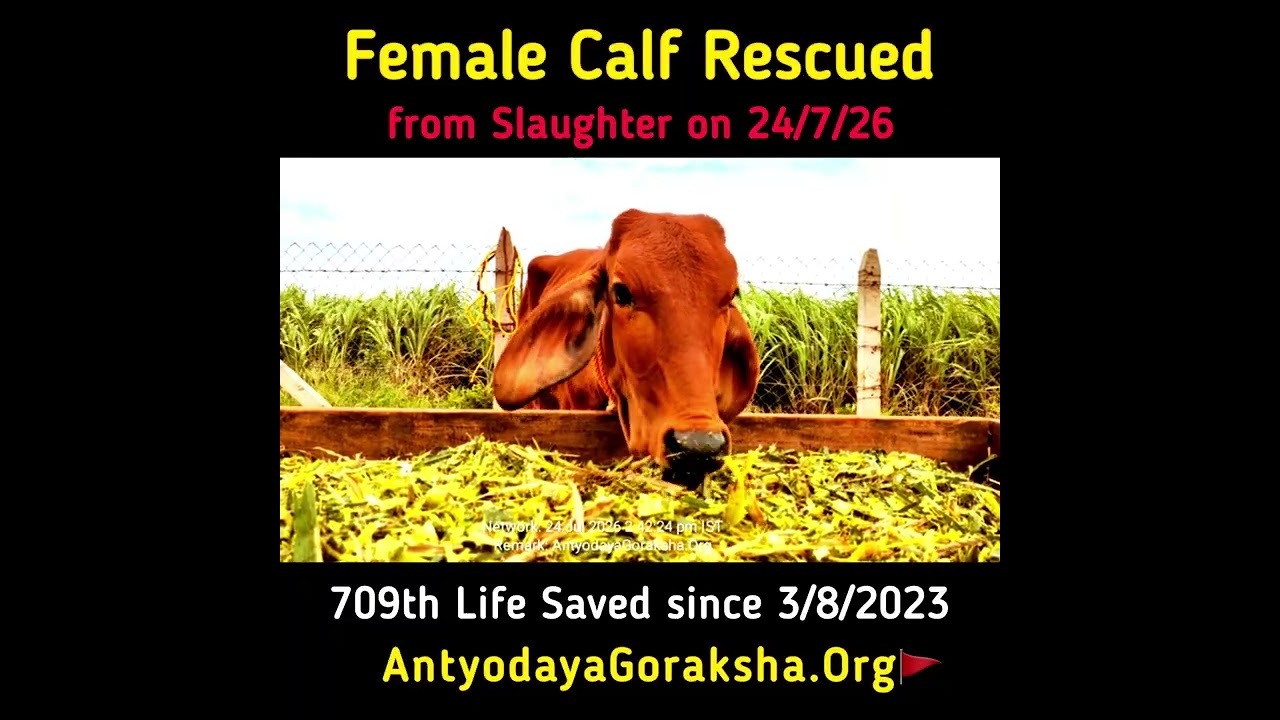 [24 July 2026] 709th Life Saved 🎉