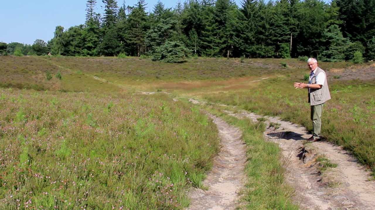 Pingoruïne Ees - Hondsrug - Drenthe