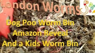 Dog Poo Worm Bin, Kids Worm Bin and Amazon