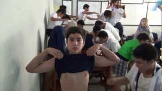 Download Lagu Harlem Shake (Venezeriete Vuertas edition) (HD) Download Lagu Harlem Shake (Venezeriete Vuertas edition) (HD)