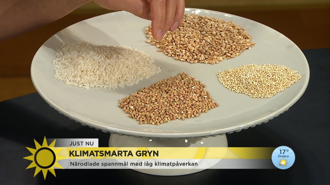 S Byter Du Ut Klimatboven Ris Mot Andra Goda Gryn Nyhetsmorgon TV4