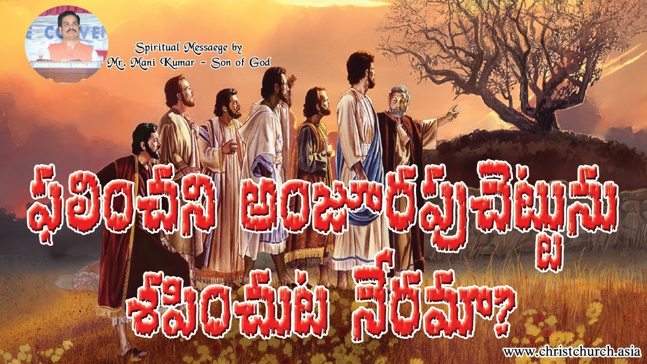 ఫలించని అంజూరపు చెట్టును శపించుట నేరమా? • Is it Crime to curse the Barren Fig Tree? •www.sutotal.com