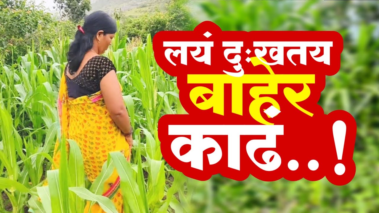 मक्यांत बाईंची हालं 💕💕🫢🫢#कॉमेडी #बाबुराव काॅमेडी #बिंदास_काॅमेडी..