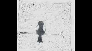 Migratory Bird's Rock'n'Roll