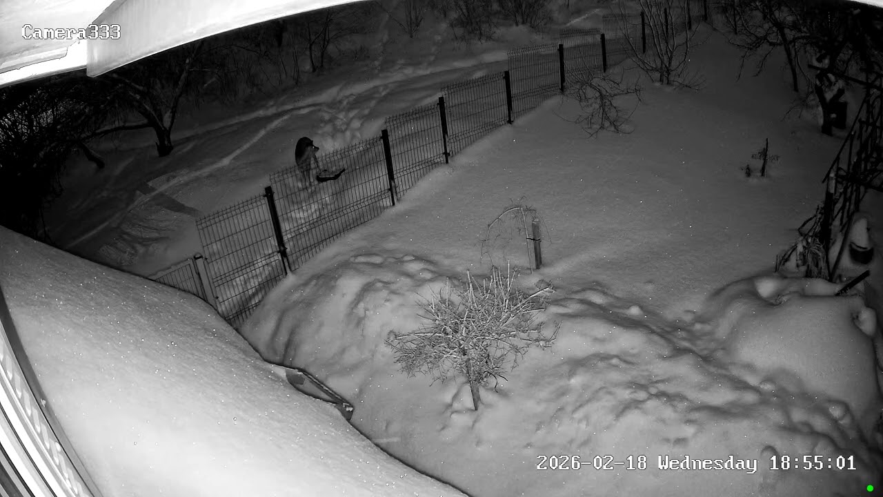 2026 m. vasario 18 d.