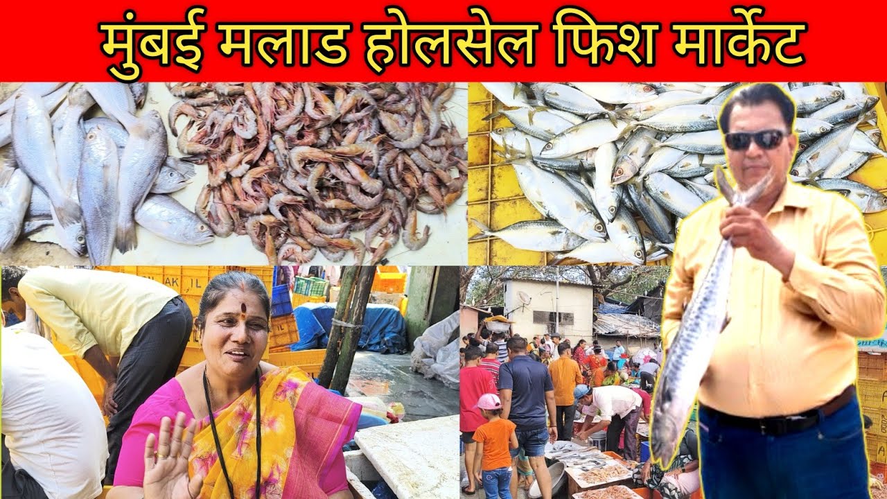 Malad Fish Market Mumbai 🇮🇳❤️🔥|| Sabse Sashta Fish Market 