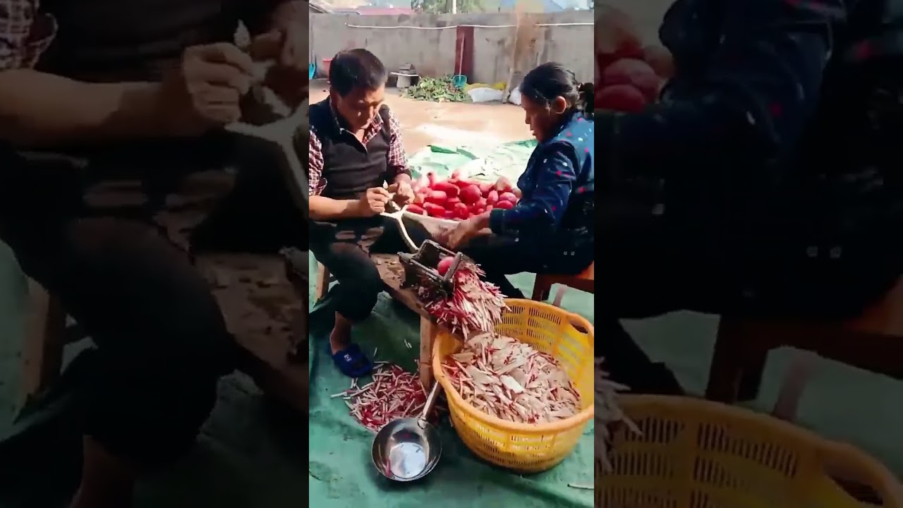 Grating Sweet Potatoes in the Countryside