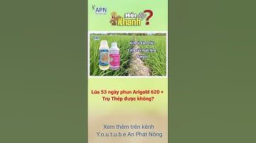 APN - LÚA 53 NGÀY PHUN TRỤ THÉP CẢI TIẾN + ARIGOLD 620 ĐƯỢC KHÔNG?