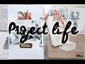 Project Life - On en est ou ?