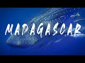 Madagascar diving - Nosy Be