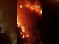 Firefighters battle wildfires in Brazil's Amazon #worldnow