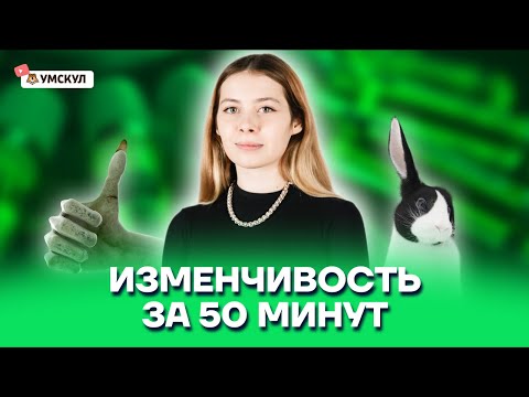 Изменчивость за 50 минут | Биология ЕГЭ 10 класс | Умскул