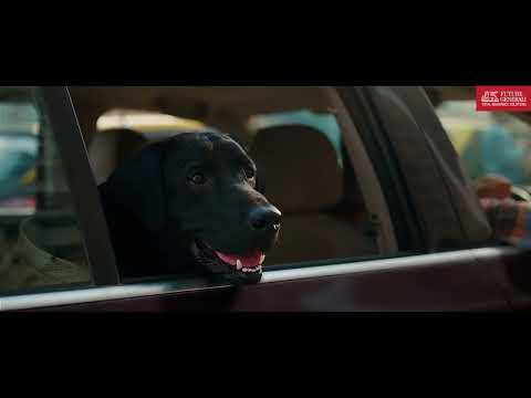 FG Dog Health Cover