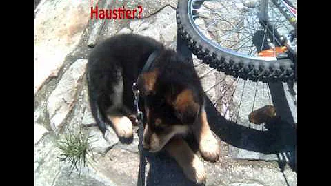 2012-01-08.WMV