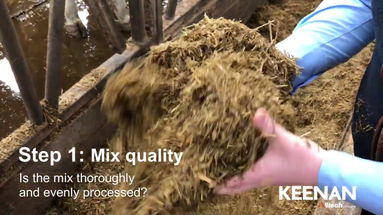 5 Steps to Self-Asses your Ration...