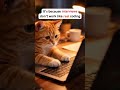 LLD interviews don’t reflect how real coding works.This is why many good developers struggle.#shorts