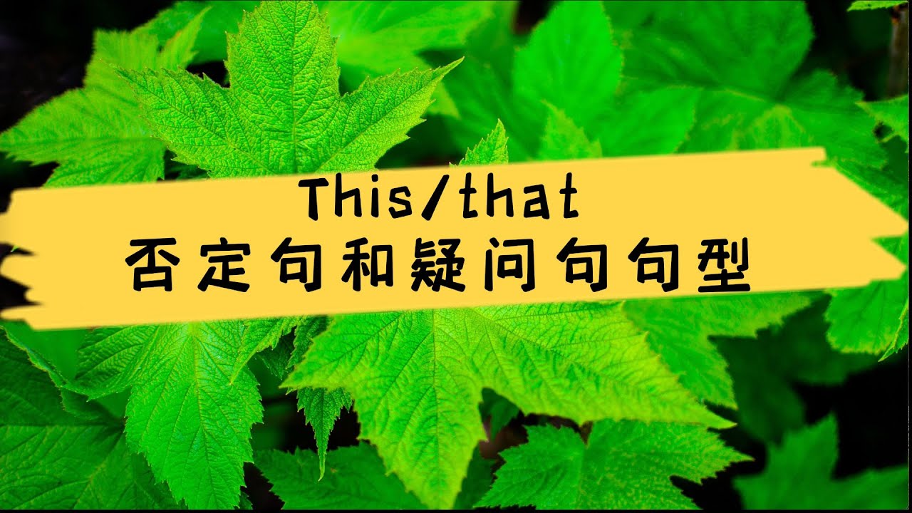 英语零基础 |怎么说 “这/那是...吗?” “这是什么?” “那是什么?” - YouTube
