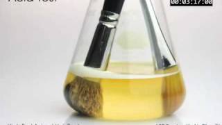 ABT Brush VS Prestige Animal Hair Brush - Acid Test