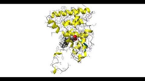 Ligand Entry Mechanism: How does a ligand enter to the receptor?