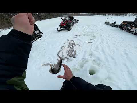 Клëвая рыбалка.Хариус