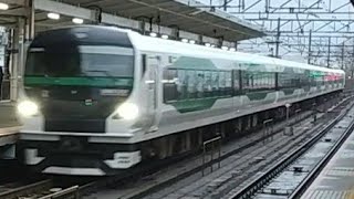 E257系5000番台OM-93編成 特急新宿わかしお号送り込み回送稲毛駅通過