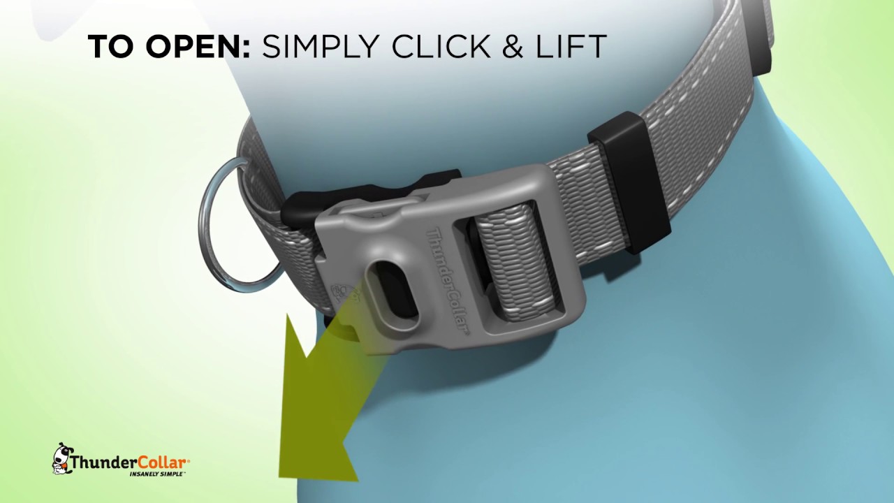 thunder collar for dogs