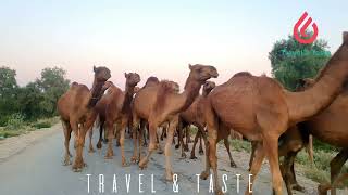 The Routine Tea around Wangu Hills | Balochistan Traditions screenshot 3