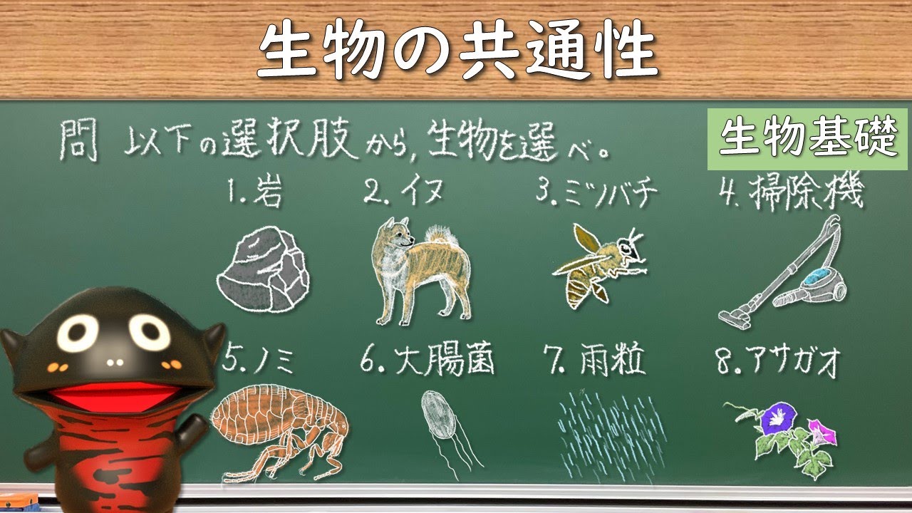 活動歴および当時の関連ビジュアル記録