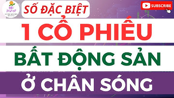 1 CỔ PHIẾU BẤT ĐỘNG SẢN Ở CHÂN SÓNG