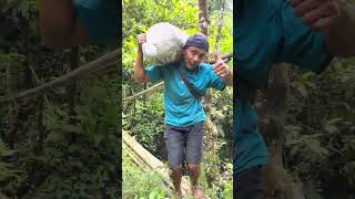 Perjanalanan dengan pemandangan yang indah 