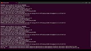 Multi Objective Optimization on Heterogeneous Platforms